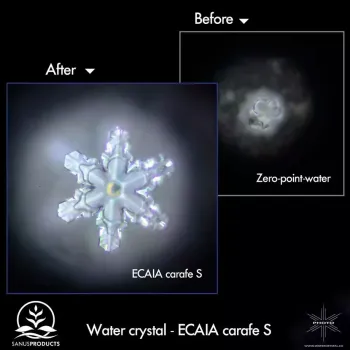 Preview: ECAIA carafe S